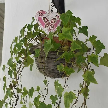 Lemonia *